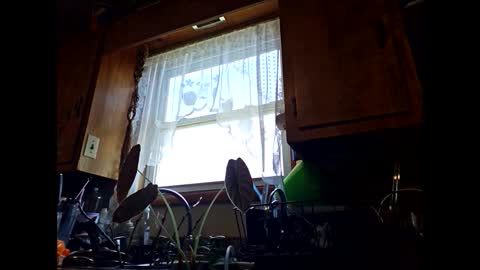 therizzler_1_of_1 online show from 09-11-25, 06:30