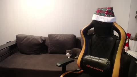 Snapshot of theroadtomars chatting on 12-27-24, 03:59 Nick online show from 12-27-24, 03:59