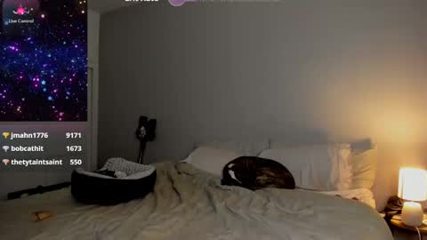 Snapshot of theselina_kyle chatting on 01-24-25, 08:13 Selina Kyle online show from 01-24-25, 08:13