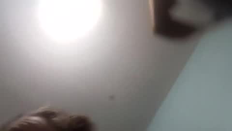 thetinyturtle online show from 01-15-26, 12:04