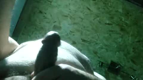 ThiccD online show from 11-22-25, 09:14