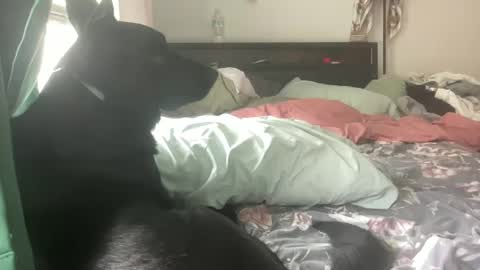 throatyygoat online show from 09-21-25, 06:53