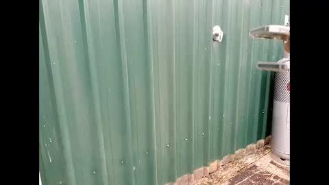 Snapshot of throbmasterr chatting on 09-12-25, 09:48 throbmasterr online show from 09-12-25, 09:48