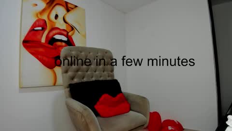 Snapshot of tiago_hannah chatting on 02-18-26, 09:38 carolina online show from 02-18-26, 09:38