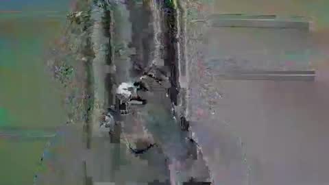 Snapshot of tifa_lockheart chatting on 04-11-26, 11:03 tifa_lockheart online show from 04-11-26, 11:03