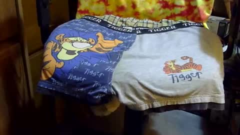 Snapshot of tiggerfan chatting on 03-30-26, 04:13 Twig and berries... online show from 03-30-26, 04:13