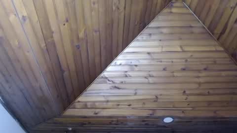 Tiina  online show from 01-19-25, 05:49