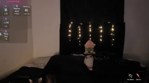 Snapshot of tim__fox chatting on 06-24-26, 03:49 Tim Fox online show from 06-24-26, 03:49