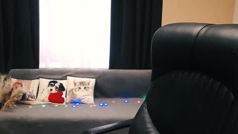 Luisa online show from 11-14-25, 08:46