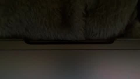 Timplaw online show from 02-11-25, 01:20