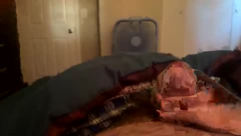 Tim Haley online show from 04-25-26, 11:24