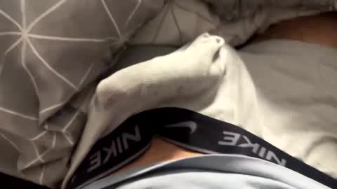 Timur online show from 04-04-26, 10:07