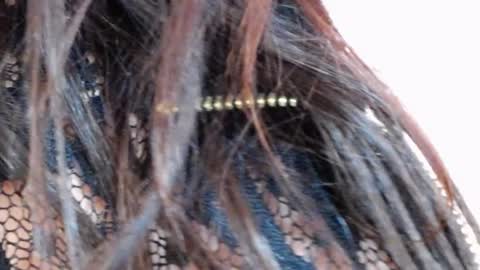 tinakay1 online show from 12-17-24, 12:11