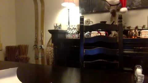 Snapshot of tinyandtatted420 chatting on 12-18-25, 01:22 tinyandtatted420 online show from 12-18-25, 01:22