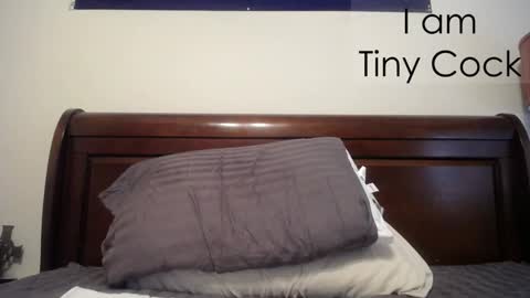 tinycock_1979 online show from 02-20-25, 02:35