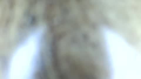 Snapshot of tinypecker6 chatting on 06-08-26, 05:57 tinypecker6 online show from 06-08-26, 05:57