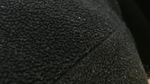 tinyslut66 online show from 11-17-25, 10:59