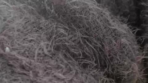 tinyslut66 online show from 03-30-26, 09:43