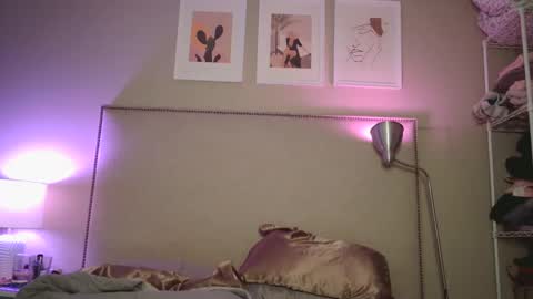 Snapshot of tipsytoesdaisy chatting on 12-27-24, 02:58 Tipsy Daisy online show from 12-27-24, 02:58