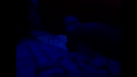 Snapshot of tixzle chatting on 03-31-26, 07:36 tixzle online show from 03-31-26, 07:36