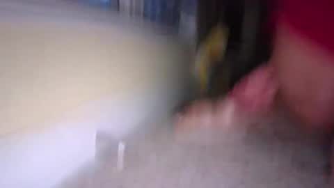 Snapshot of tj526316275 chatting on 01-09-25, 12:19 tj526316275 online show from 01-09-25, 12:19