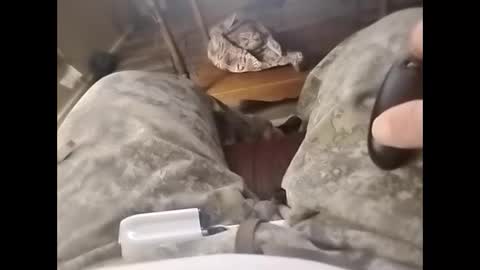 Snapshot of tjllagwbggrr chatting on 02-03-26, 05:16 tjllagwbggrr online show from 02-03-26, 05:16