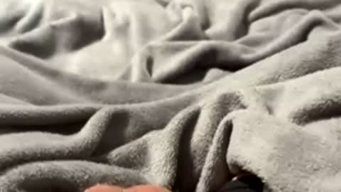 Snapshot of tmue chatting on 02-27-26, 01:33 tmue online show from 02-27-26, 01:33