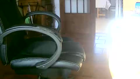 Snapshot of tobikoyuzu chatting on 12-17-24, 03:17 Tobiko online show from 12-17-24, 03:17