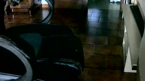 Snapshot of tobikoyuzu chatting on 12-28-24, 04:52 Tobiko online show from 12-28-24, 04:52