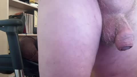 Togbear online show from 07-28-26, 07:59