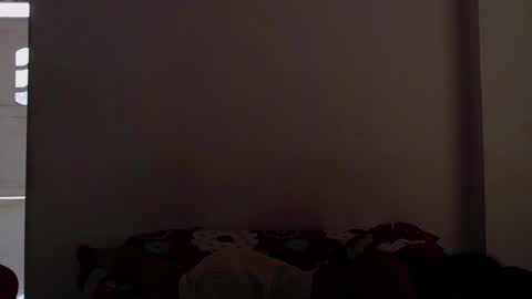 Snapshot of tokihoney chatting on 03-11-25, 09:48 Adela y juan online show from 03-11-25, 09:48