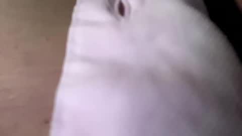 Snapshot of tommit84 chatting on 10-19-25, 04:13 tommit84 online show from 10-19-25, 04:13