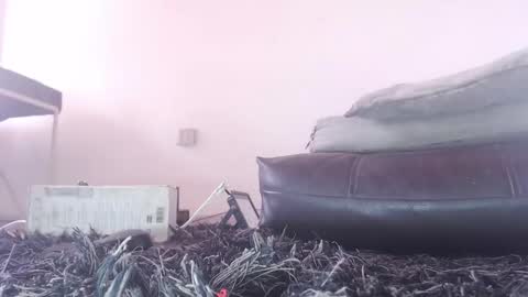 Snapshot of tommy_c0rtez chatting on 02-26-26, 06:07 Thomas online show from 02-26-26, 06:07