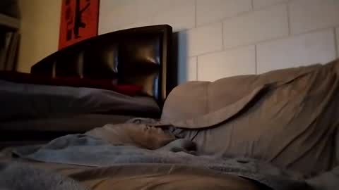 tomthebomb347 online show from 09-14-25, 10:20