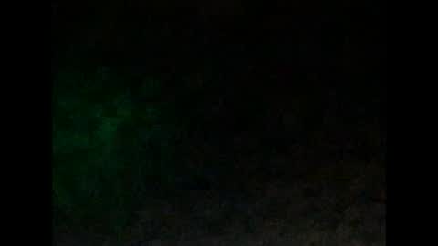 Snapshot of tonydigitt chatting on 01-04-25, 10:05 tonyd online show from 01-04-25, 10:05