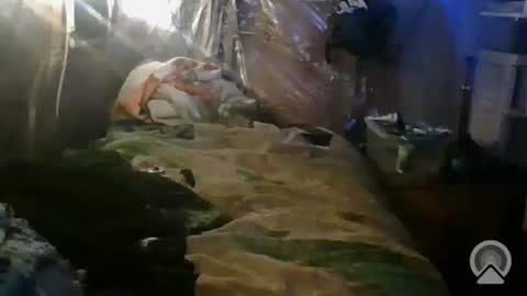 tootall1991420 online show from 10-26-25, 01:06