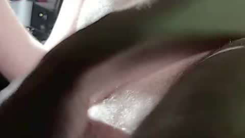 tornne online show from 07-19-26, 11:25