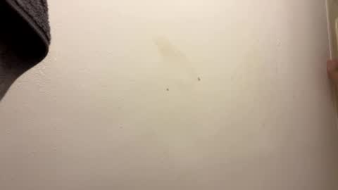 toronto5656 online show from 01-31-25, 06:46