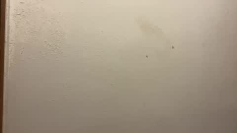 toronto5656 online show from 02-05-25, 03:20