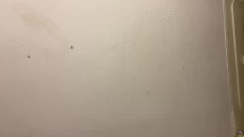 toronto5656 online show from 03-03-25, 03:31