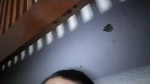 torresabel762 online show from 04-19-26, 10:14