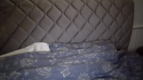 Snapshot of torrino12 chatting on 01-06-25, 03:20 torrino12 online show from 01-06-25, 03:20