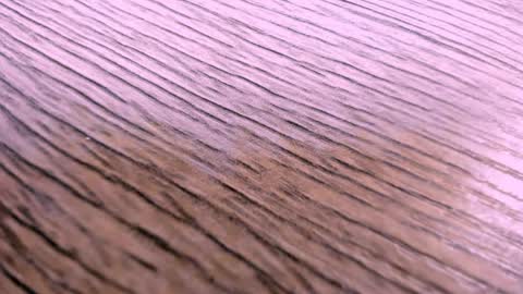 Snapshot of toshi_dakxxx chatting on 04-02-26, 01:31 toshi_dakxxx online show from 04-02-26, 01:31