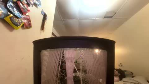 tracy227 online show from 11-09-25, 10:41