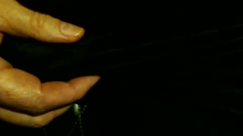 trailblazer1969 online show from 10-08-25, 03:59