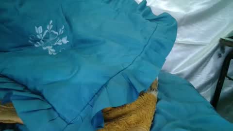 transexdotada online show from 10-23-25, 05:12