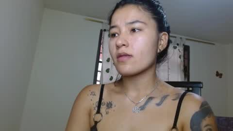 trebol_4 online show from 04-11-26, 06:12