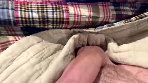 tree553 online show from 12-28-24, 06:50