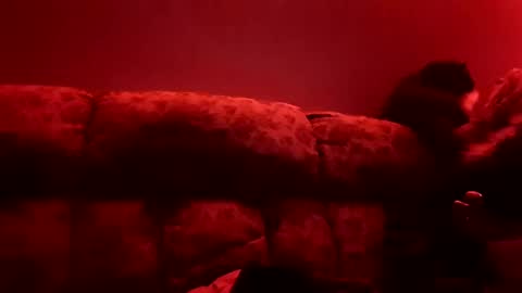 Snapshot of tretrix5588 chatting on 01-03-25, 10:09 tretrix5588 online show from 01-03-25, 10:09