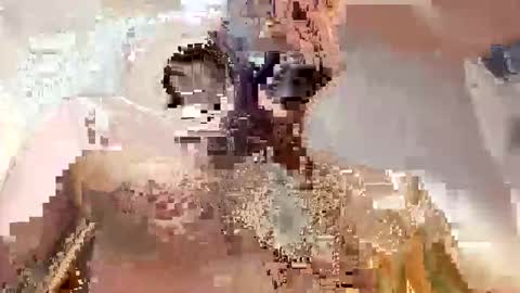 trex23rd online show from 12-02-25, 09:47